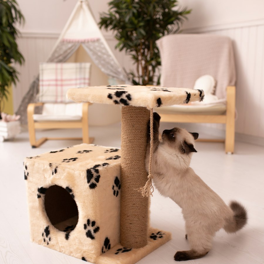 Kulübeli Kedi Tırmalama Evi