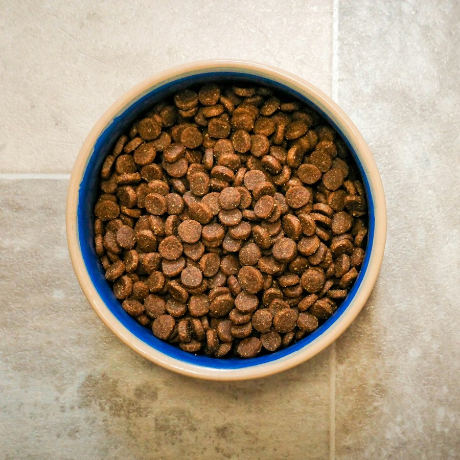 Tahılsız Yetişkin Kedi Maması 2 kg