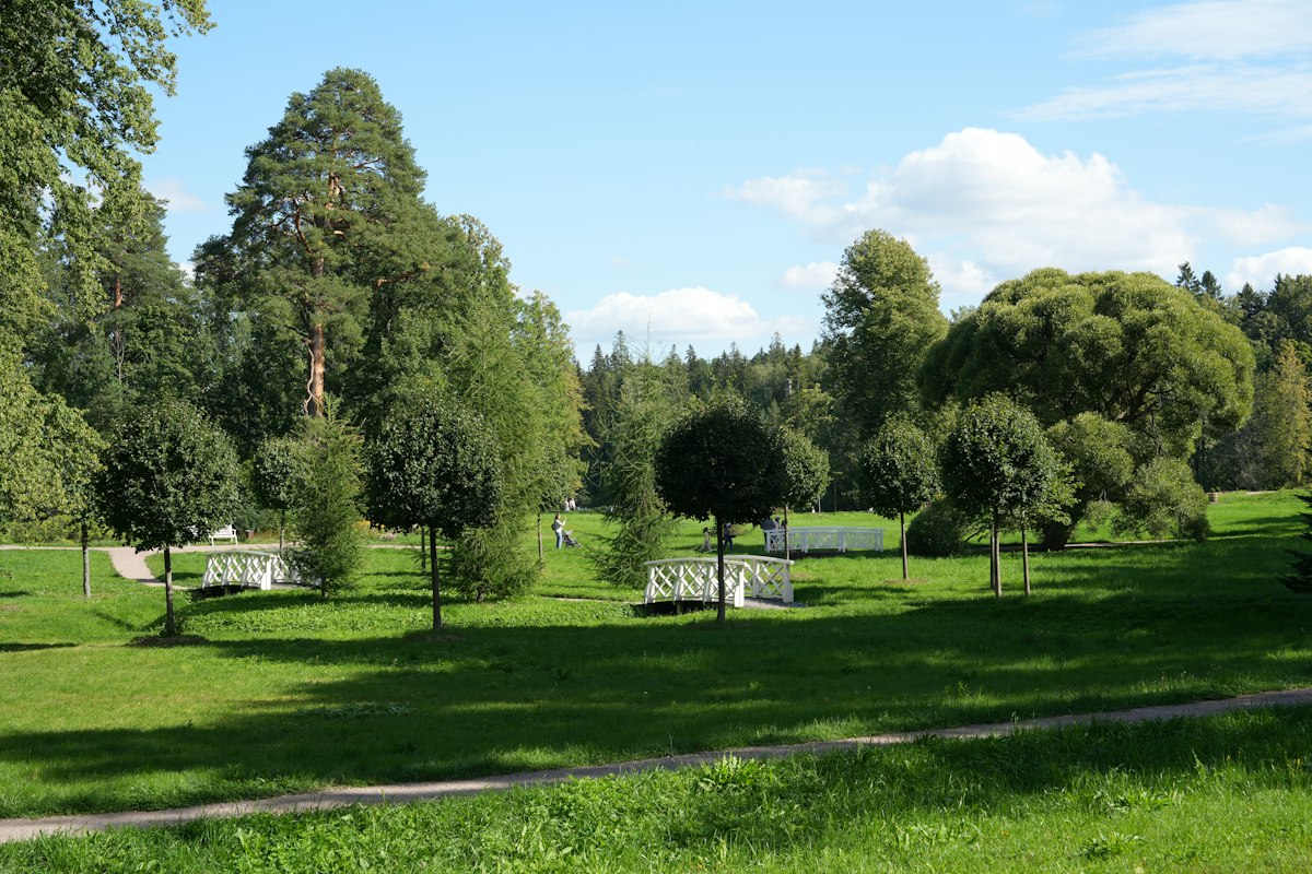 Park ve Kamusal Alanlar