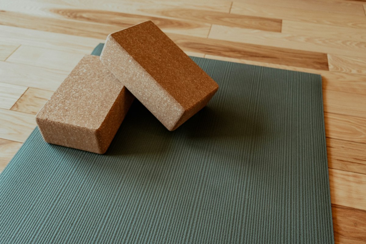 Başlangıç Yogası